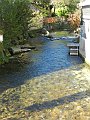 Ausflug 2014   054-SH101337